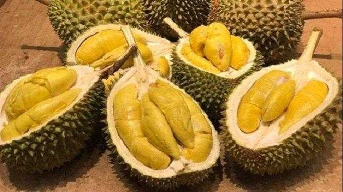 Arti Mimpi Makan Durian