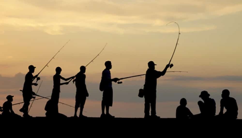 arti mimpi memancing ikan