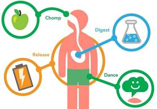 Materi, Fungsi, Contoh, Proses Dan Pengertian Metabolisme Menurut Para Ahli