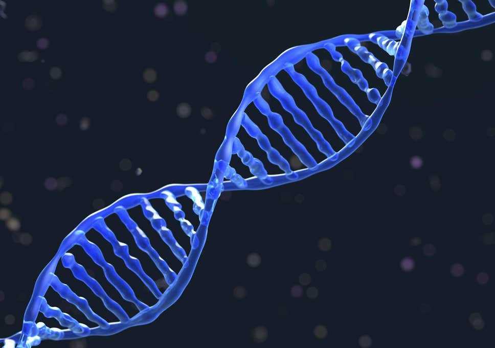 Struktur, Replikasi, Ciri Ciri, Fungsi, Komponen Dan Pengertian DNA Menurut Para Ahli