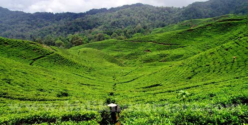 Asas Asas, Sejarah, Sumber, Tujuan, Contoh Dan Pengertian Hukum Agraria Menurut Para Ahli