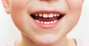Fungsi organ mulut pada sistem pencernaan manusia berdasarkan penjelasan para ahli
